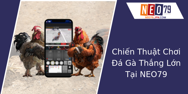 Chiến Thuật Chơi Đá Gà Thắng Lớn Tại NEO79 Chiến Thuật Chơi Đá Gà Thắng Lớn Tại NEO79