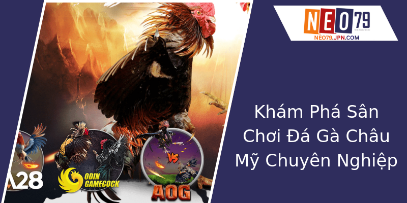 Khám Phá Sân Chơi Đá Gà Châu Mỹ Chuyên Nghiệp Khám Phá Sân Chơi Đá Gà Châu Mỹ Chuyên Nghiệp