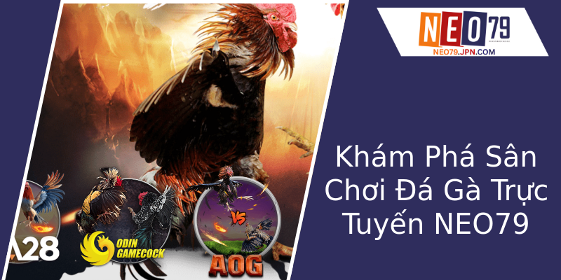 Khám Phá Sân Chơi Đá Gà Trực Tuyến NEO79