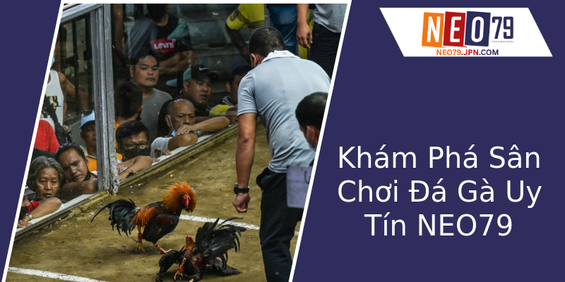 Khám Phá Sân Chơi Đá Gà Uy Tín NEO79 Khám Phá Sân Chơi Đá Gà Uy Tín NEO79