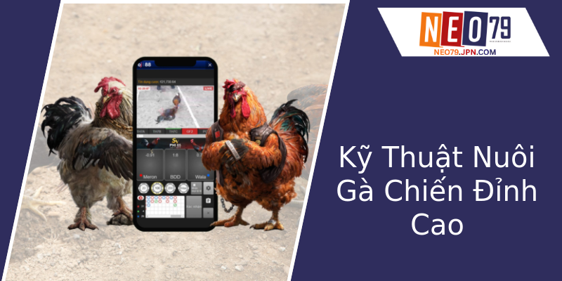 Kỹ Thuật Nuôi Gà Chiến Đỉnh Cao