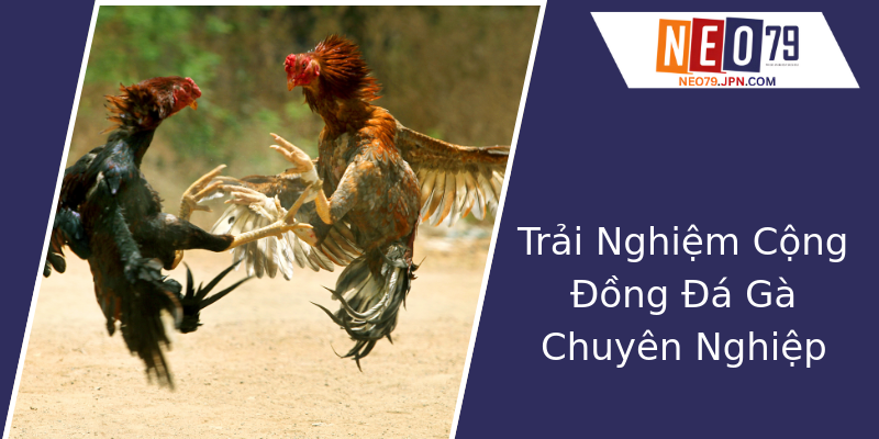 Trải Nghiệm Cộng Đồng Đá Gà Chuyên Nghiệp Trải Nghiệm Cộng Đồng Đá Gà Chuyên Nghiệp