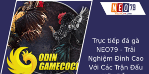 Truc Tiep A Ga Neo79 Trai Nghiem Inh Cao Voi Cac Tran Au Hap Dan