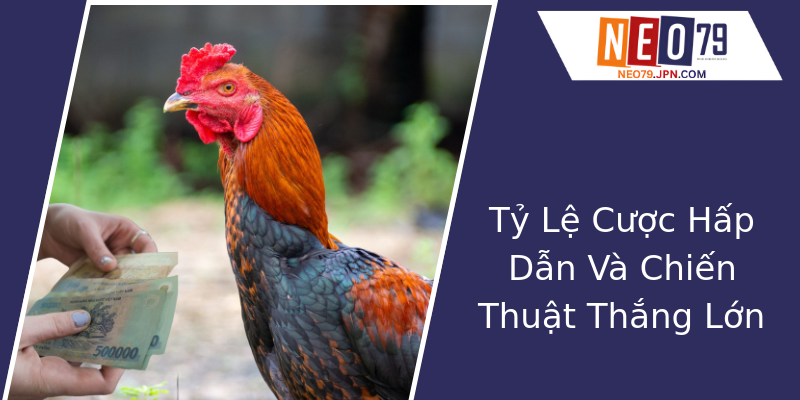 Tỷ Lệ Cược Hấp Dẫn Và Chiến Thuật Thắng Lớn