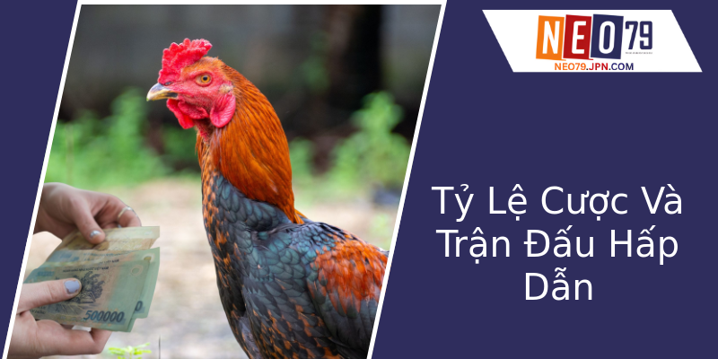 Tỷ Lệ Cược Và Trận Đấu Hấp Dẫn Tỷ Lệ Cược Và Trận Đấu Hấp Dẫn